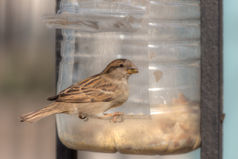 Revolutionize Waste Disposal with Convenient Rubbish Removal Bags